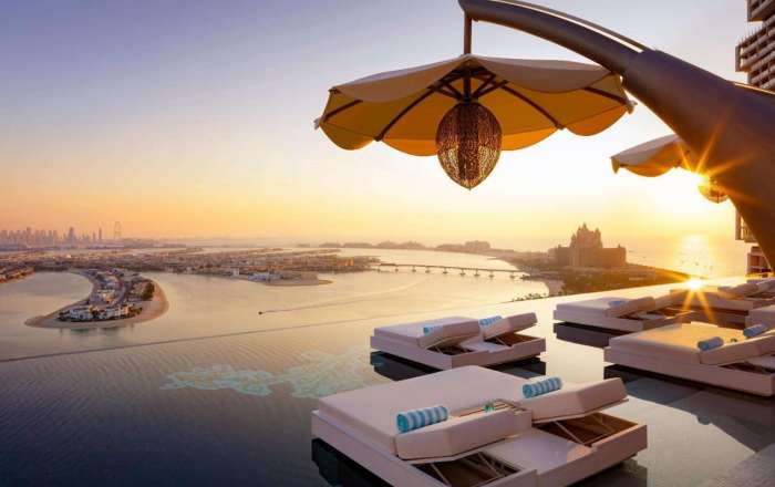 Sneak a View of The Palm