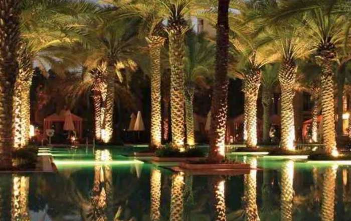 Welcome to the Island