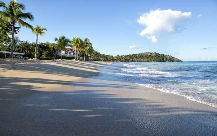 Antigua's Exotic Coastline