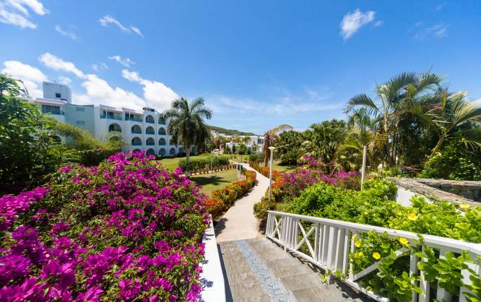 Lush Greenery Around the Resort