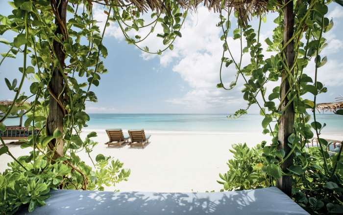 Thumbnail for image 1