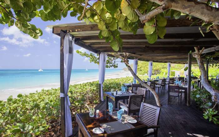 Thumbnail for image 2