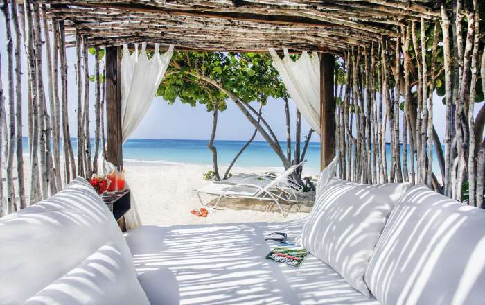 Thumbnail for image 3