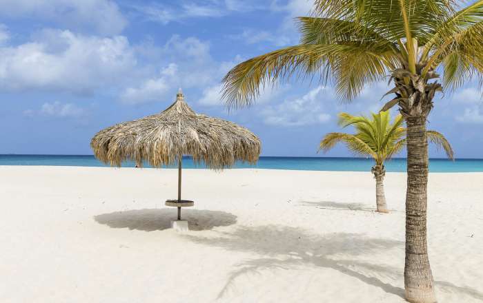 Thumbnail for image 2