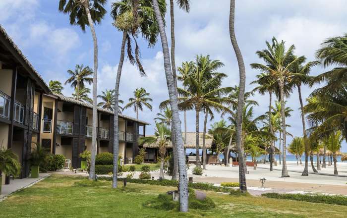 Thumbnail for image 3