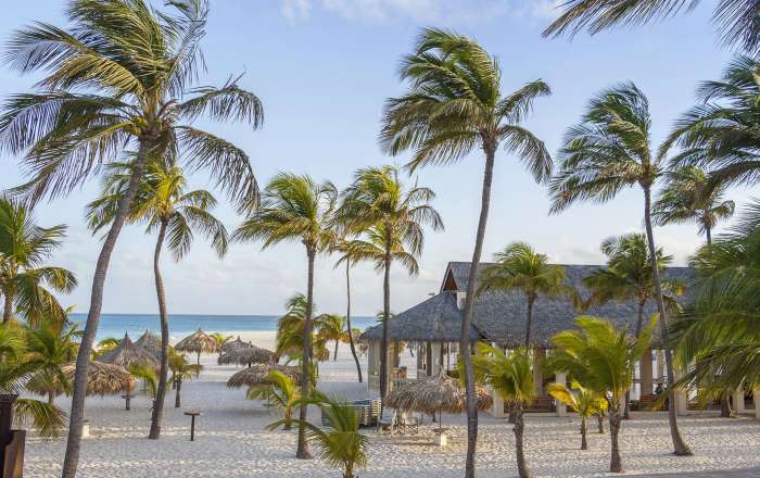 Thumbnail for image 4