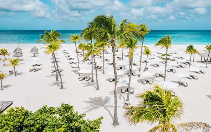 Kick Back on the Stunning Eagle Beach