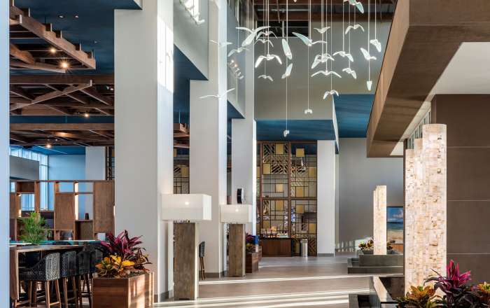 Thumbnail for image 4