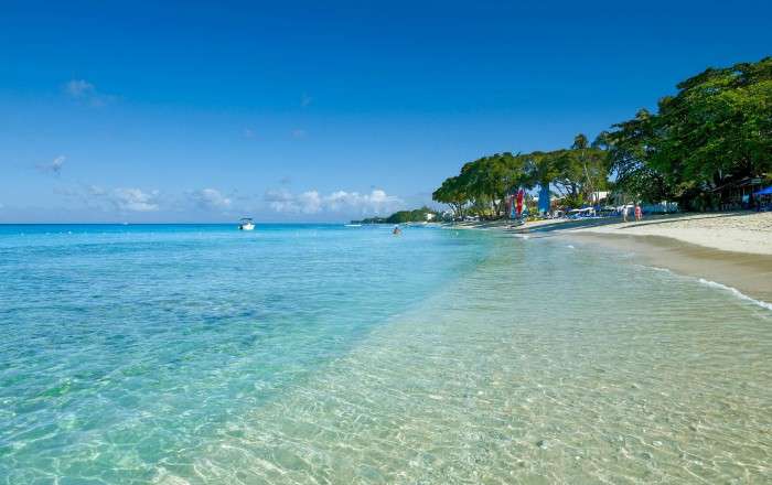 Thumbnail for image 1