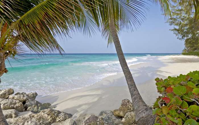 Relax on the 1,500-foot white sand beach