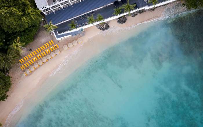 Aerial View of the Beach