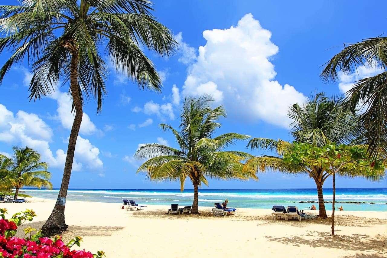 Coconut Court, Barbados | Blue Bay Travel