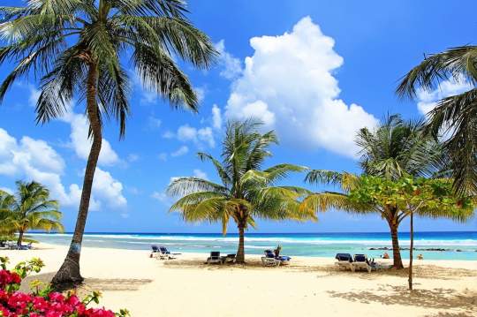 Main image of the hotel Coconut Court.