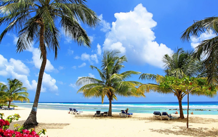 Main image for the offer: Coconut Court Boost.