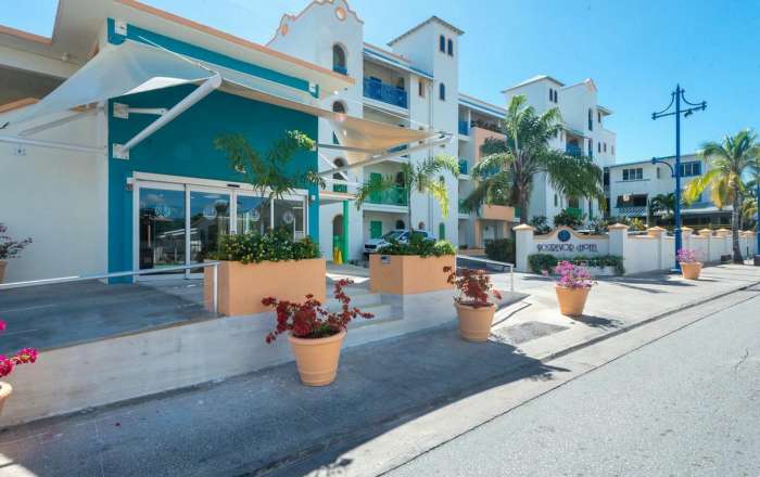 Thumbnail for image 3