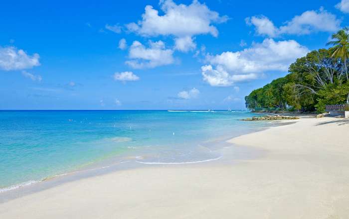 Welcome to the Island