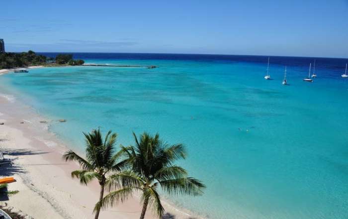 Thumbnail for image 1