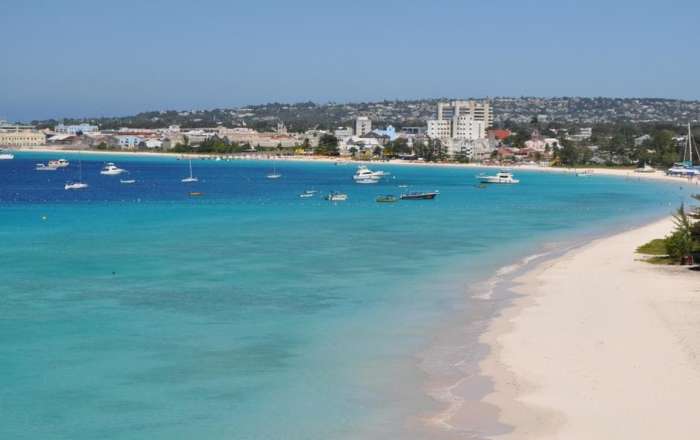 Thumbnail for image 2