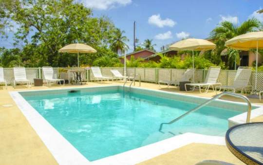 Main image of the hotel Halcyon Palm.