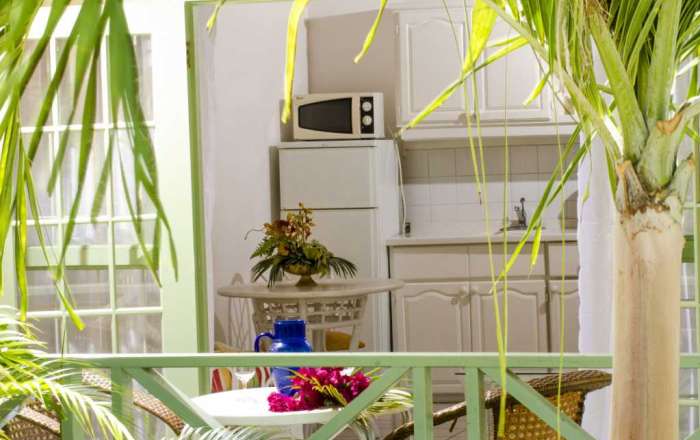 Kitchenette in the One Bedroom Apartment with Private Balcony