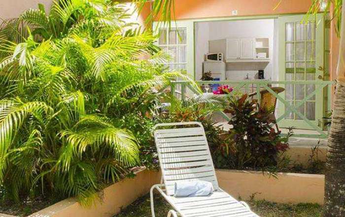 Gardens with sun loungers