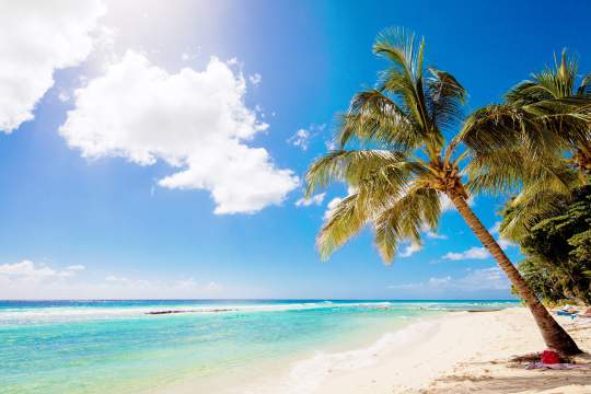 Main image of the hotel Sugar Bay Barbados.