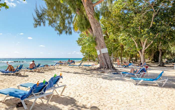 Boutique Beachfront Resort Minutes from Bridgetown