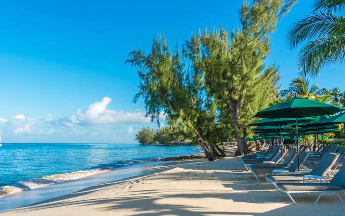 Thumbnail for image 2