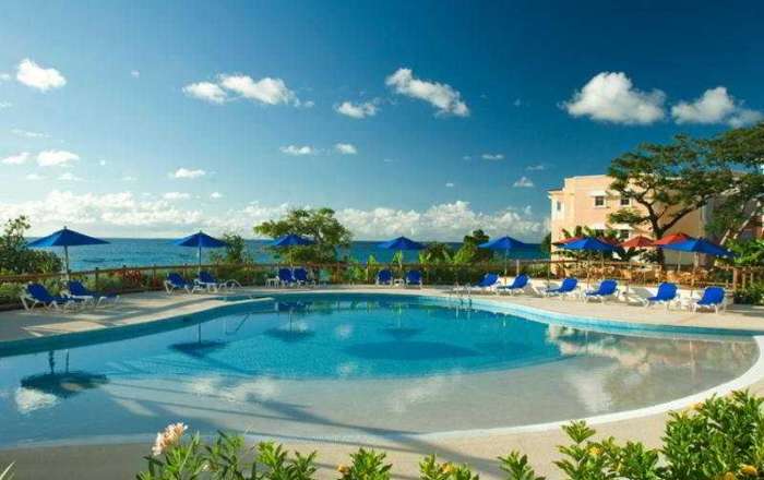 Thumbnail for image 3