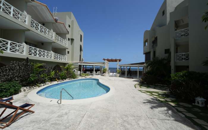 Take a dip in the hotel pool