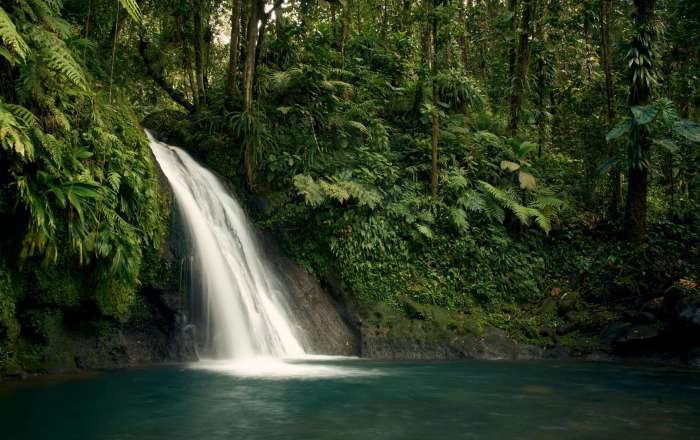 Waterfall at Guadeloupe National Park