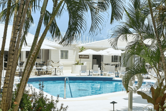 Main image of the hotel South Point Hotel.