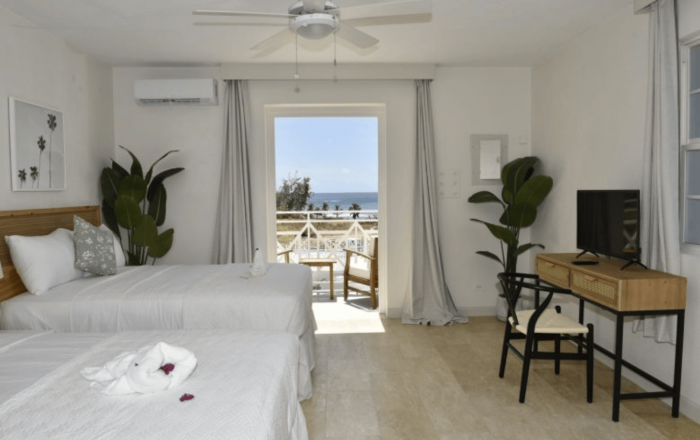 Thumbnail for image 3