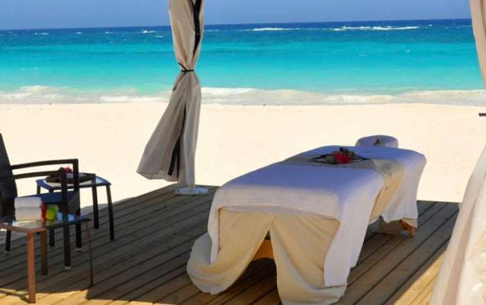 Thumbnail for image 4