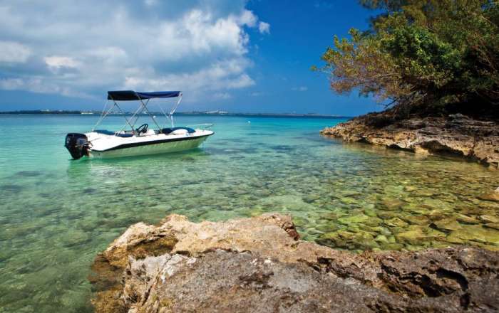 Thumbnail for image 1