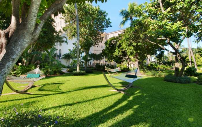 Thumbnail for image 2