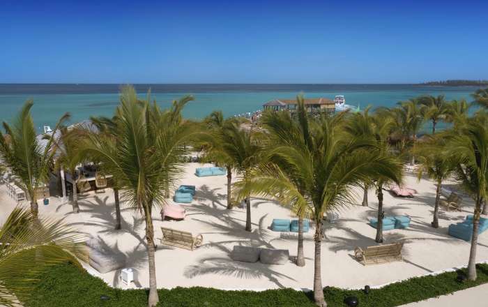 Powder White Sands Surrounded by Swaing Palm Trees