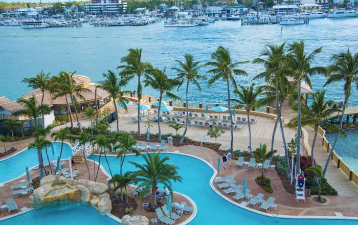 Thumbnail for image 1