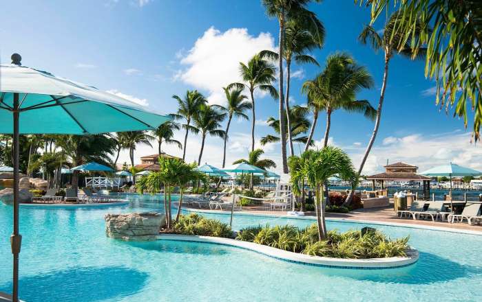 Freeform Pools Adorn the Resort