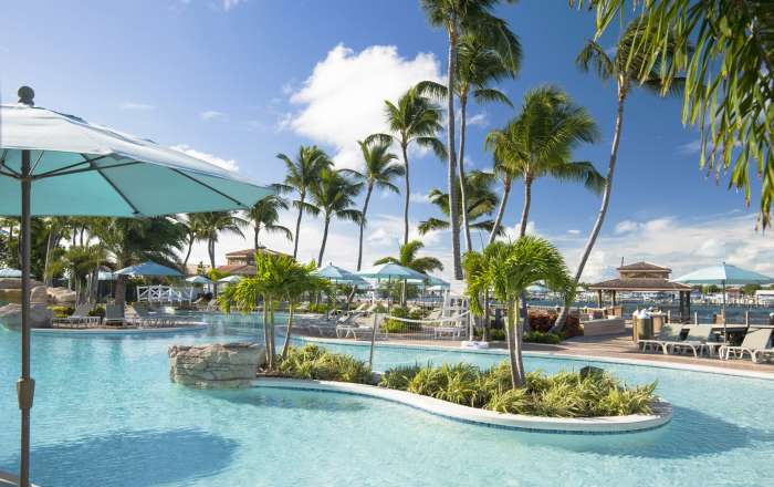 Thumbnail for image 3