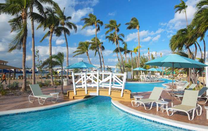 Thumbnail for image 4