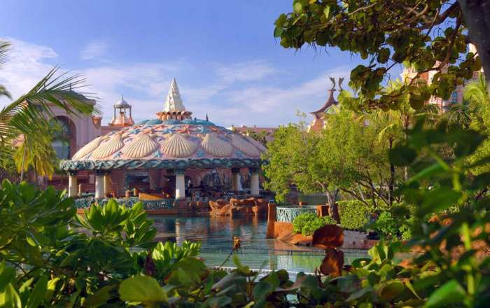 Thumbnail for image 4