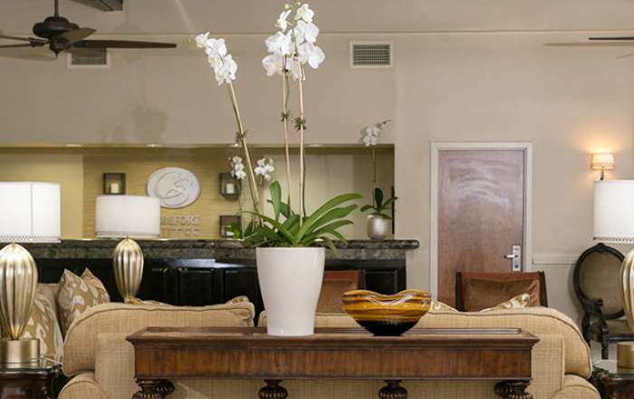 Thumbnail for image 3