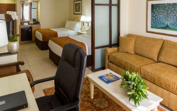 Thumbnail for image 4