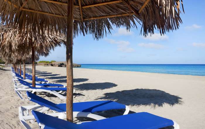 Thumbnail for image 2