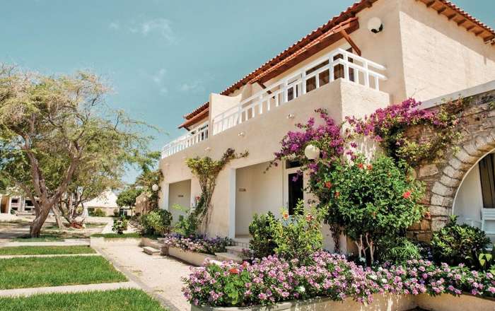 Thumbnail for image 2