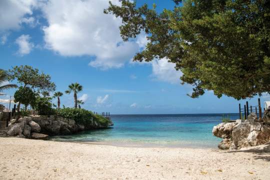 Main image of the hotel Dreams Curaçao Resort, Spa & Casino.