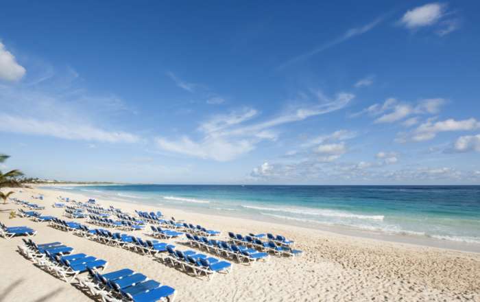 Thumbnail for image 1