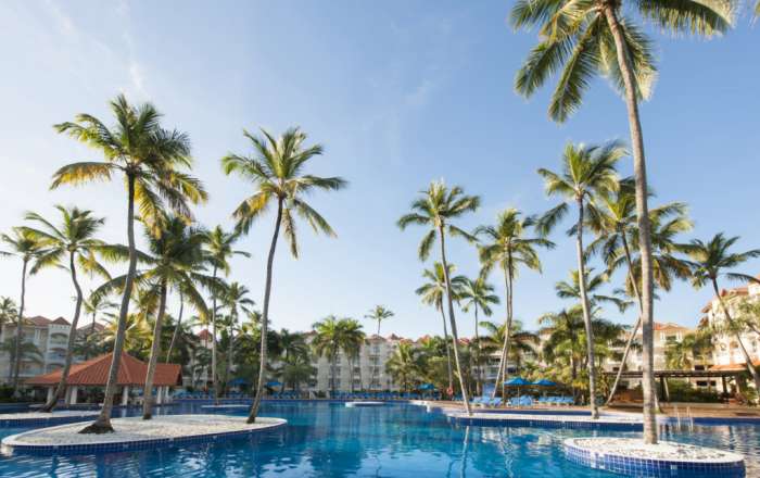 Thumbnail for image 3