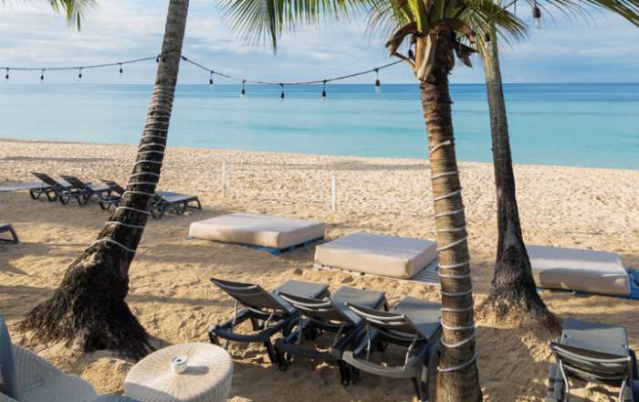 Thumbnail for image 3